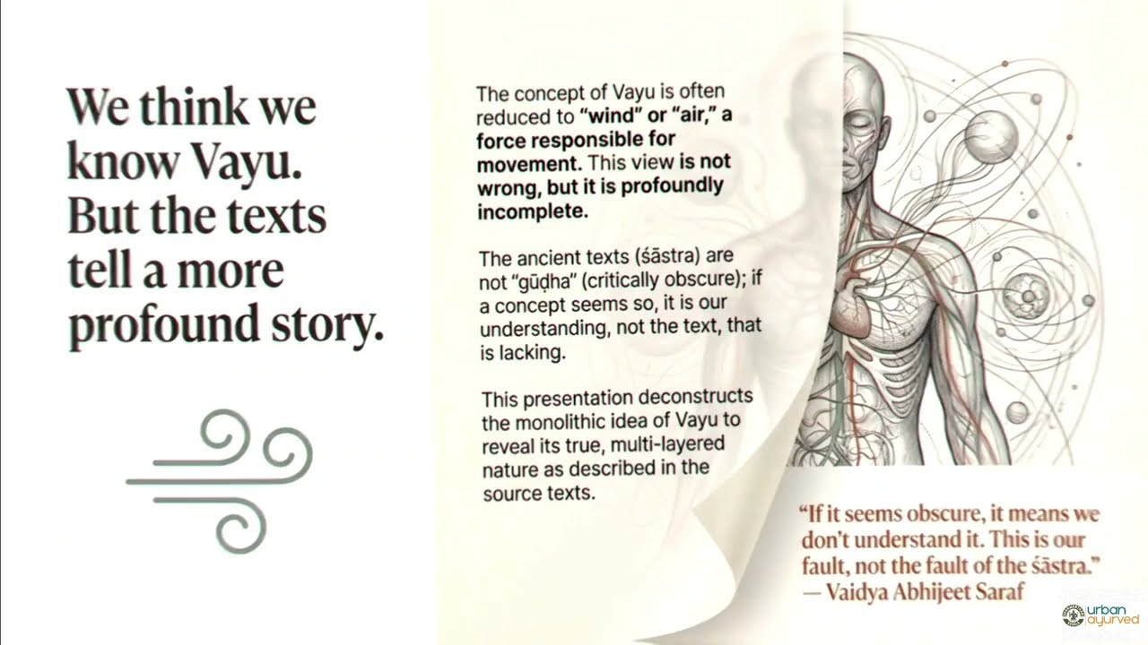 "Vata Dosha With Different Perspectives!! " 