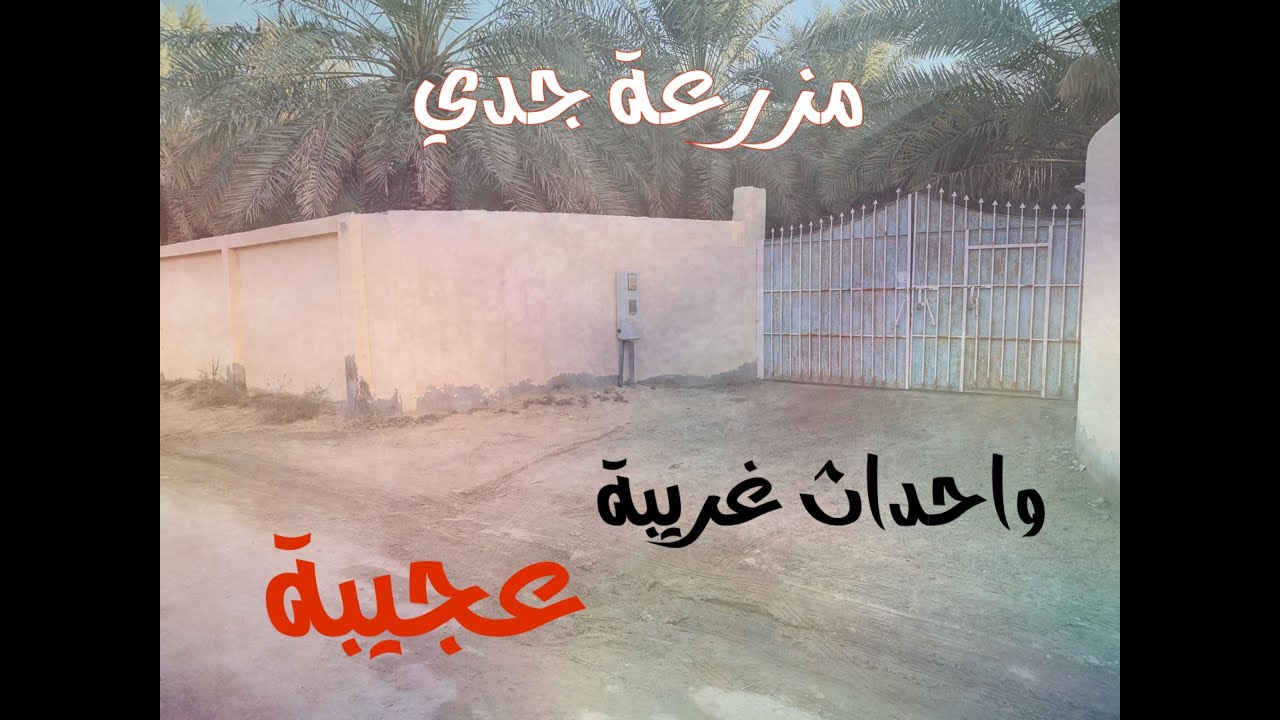 ظهور شخص غريب وحاجات اكثر في مزرعة جدي .. لكن النهاية مفاجئة #قصص#حقيقية#قصة#واقعية#جن#رعب