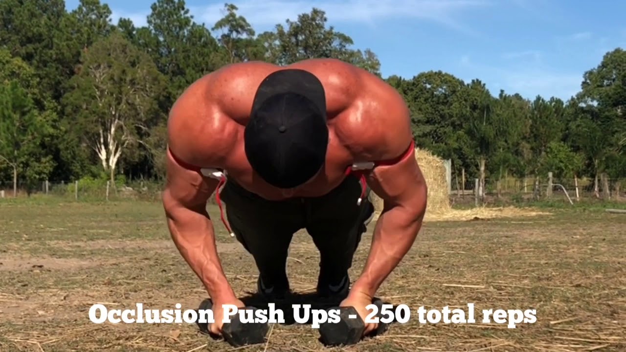 Operation Tactical Hypertrophy Update