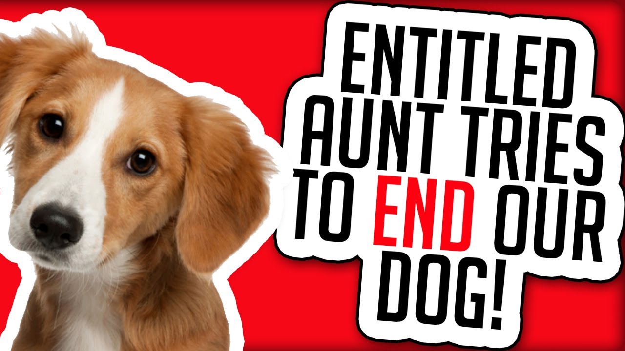 r/EntitledParents - AUNT TRIES TO END OUR DOG!