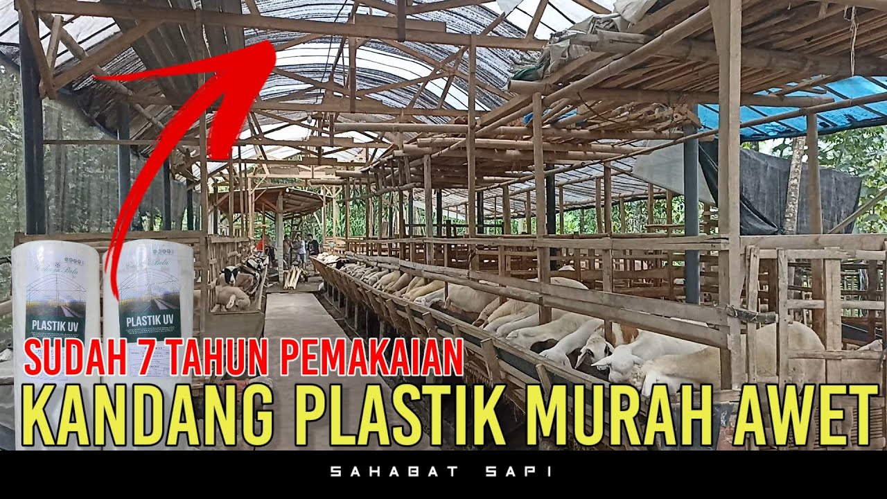 KANDANG KAMBING MURAH SEDERHANA DARI PLASTIK AWET TAHUNAN