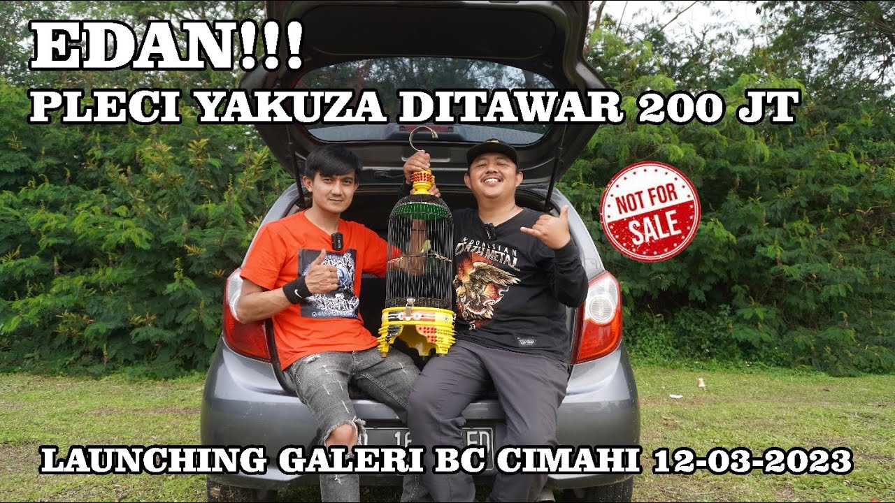 Fantastic Pleci Yakuza Milik Om DADAN Di Tawar 200 juta 😱 #29