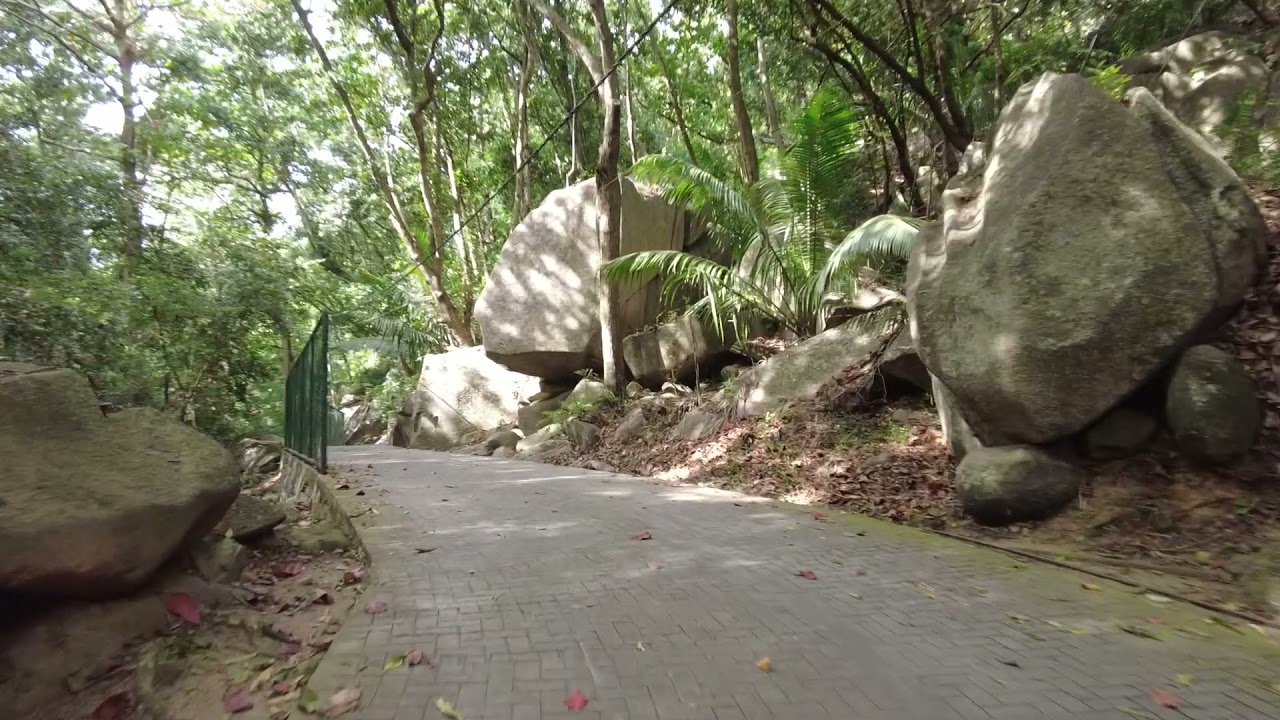 Cycling on La Digue, (4x speed) Seychelles, Anse Fourmi's, Grand Anse, Anse Source d'Argent