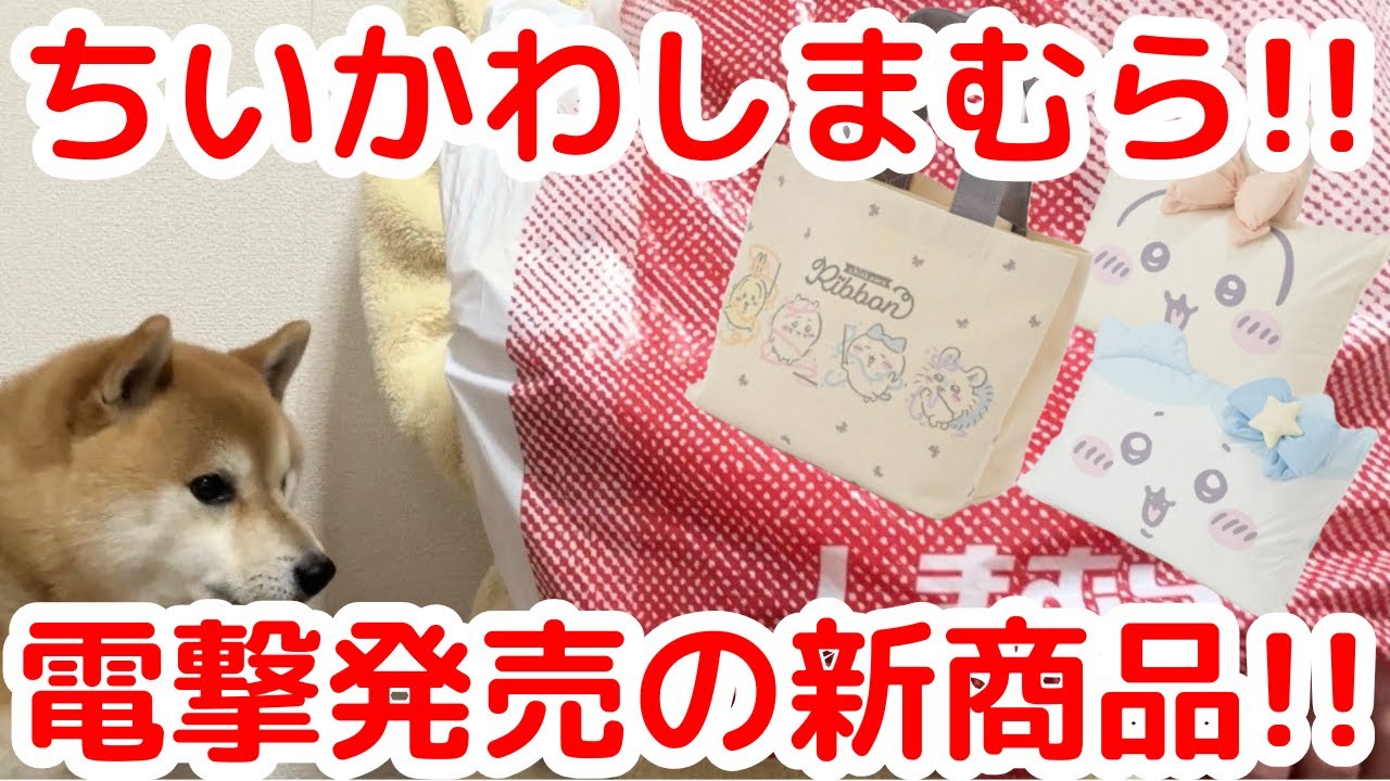 【ちいかわ】急遽発表された「しまむらコラボ」に参戦してきた！！