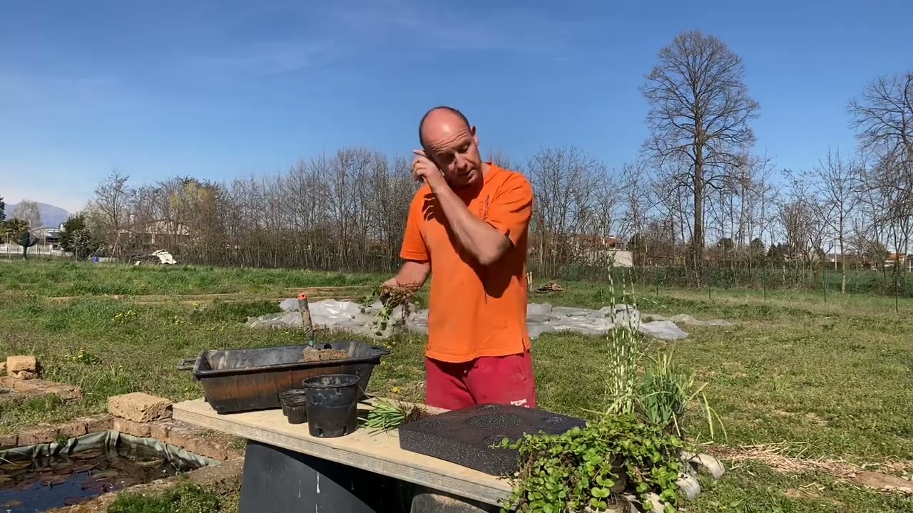 Isole galleggianti per laghetti e vasche, come prepararle ed inserire le piante. Parte 1/2