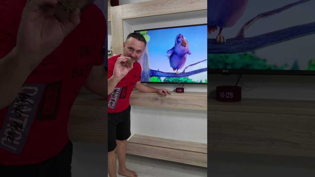 Did This Bird Take a Nasty Knock in 'Big Buck Bunny'? #bigbuckbunny #meme #funnymoment #funnymemes