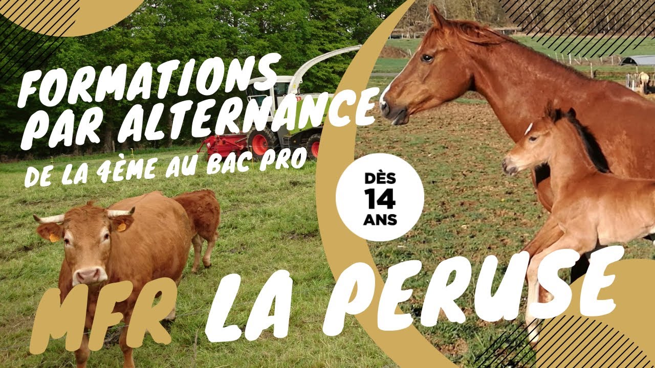 MFR  La Péruse 2021 - découverte en images