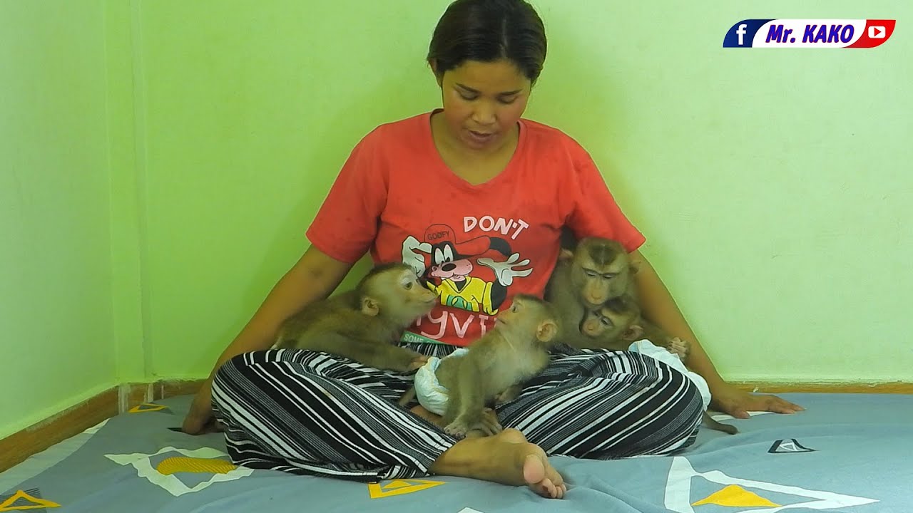 Miss. Jing Joining Kako Luna And Olly Sleep On Mom Lap Together