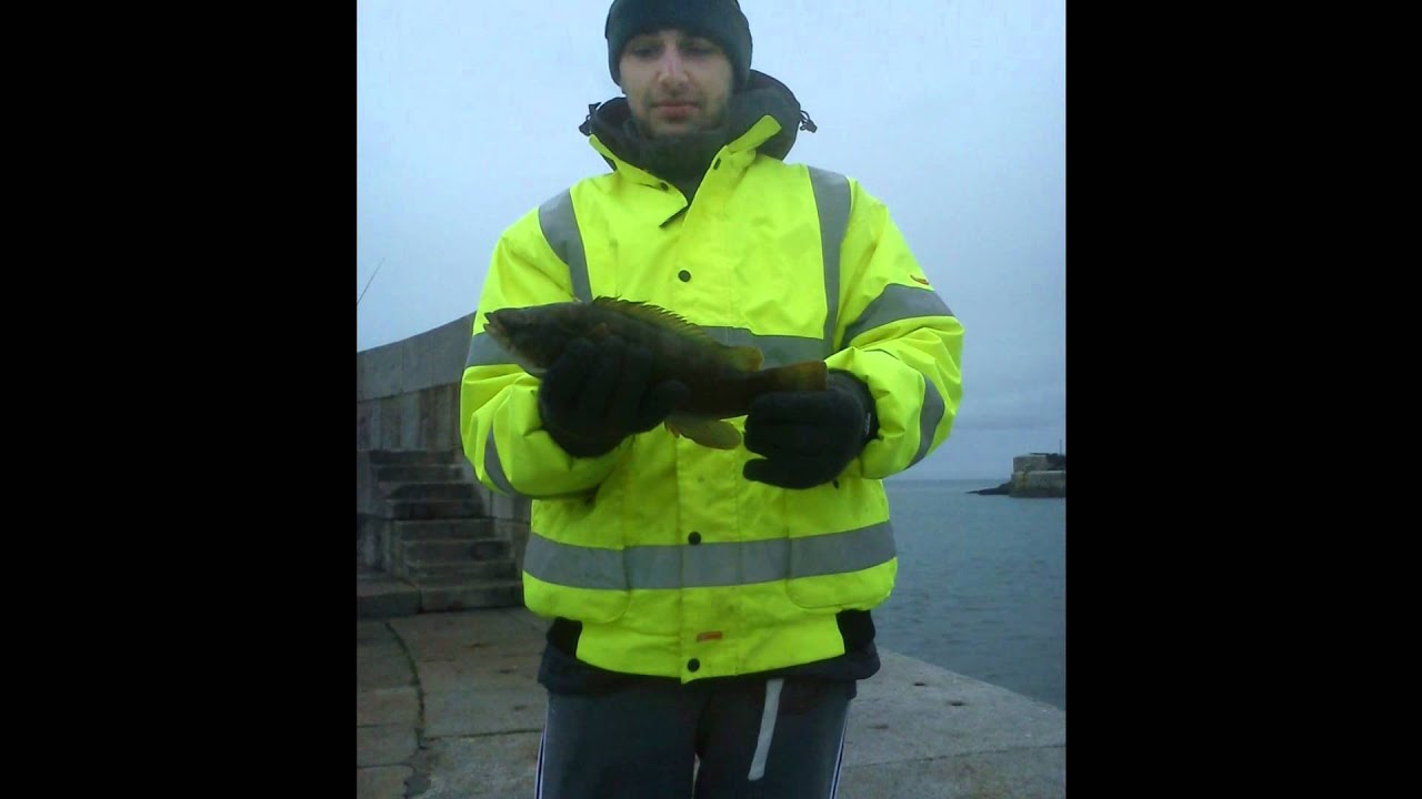 dun laoghaire fishing