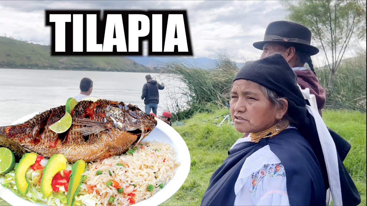 Me fui a comer unas deliciosas Tilapia en Yahuarcocha