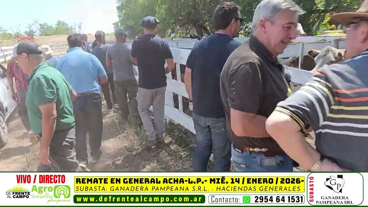 REMATE FERIA de GANADERA PAMPEANA S.R.L. - MIÉRCOLES 14 / ENERO / 2026 - GENERAL ACHA -L.P.-
