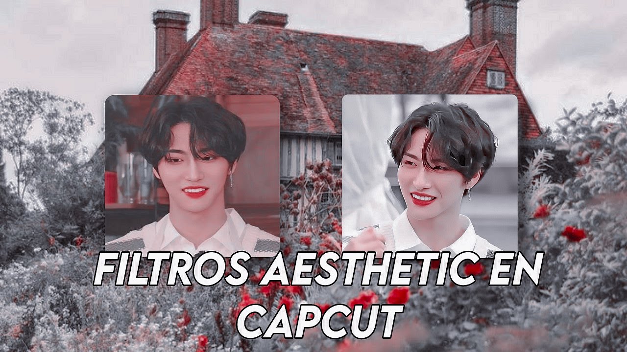 [🌻]TUTORIAL: FILTROS AESTHETIC EN CAPCUT//Itz Pau彡