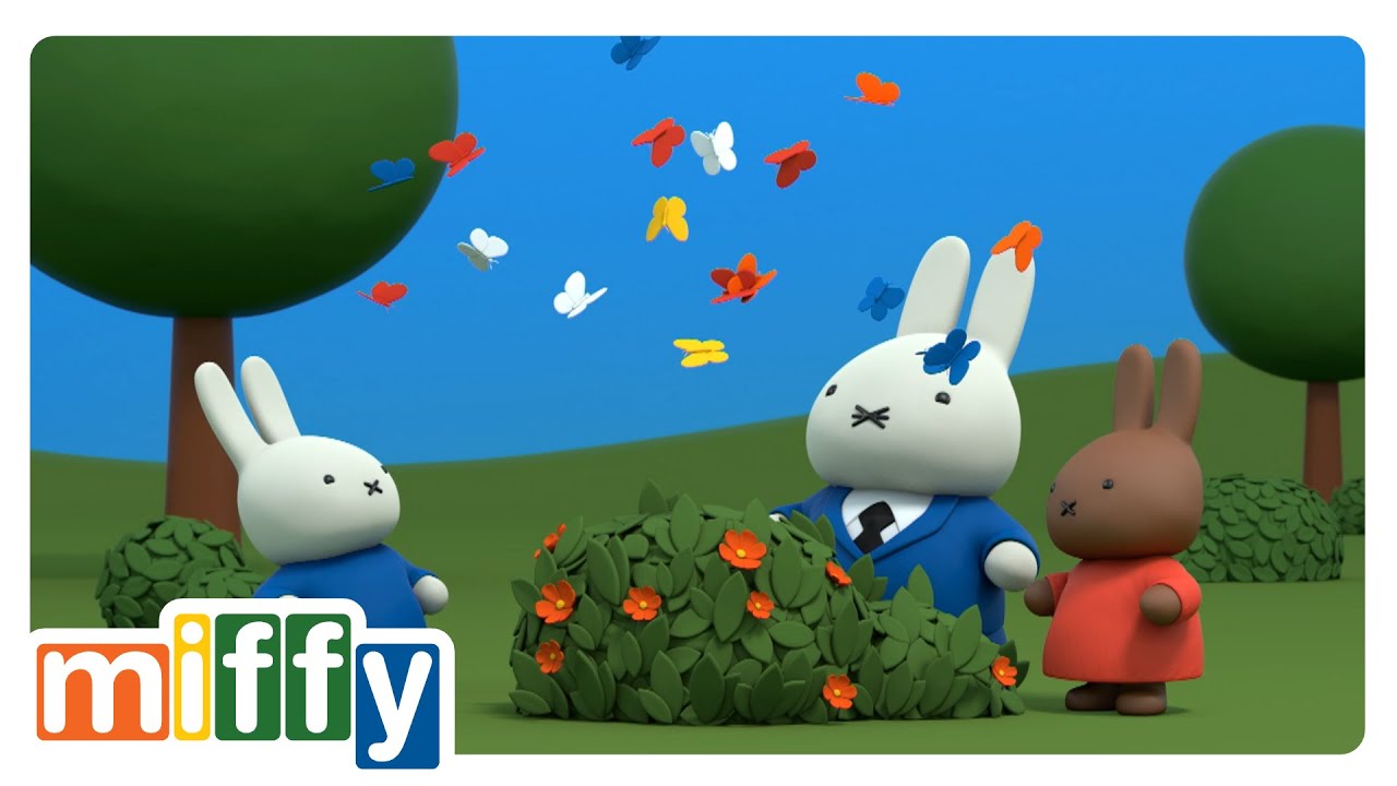Miffy et le Papillon 🦋 | Miffy et ses amis | Dessins Animés