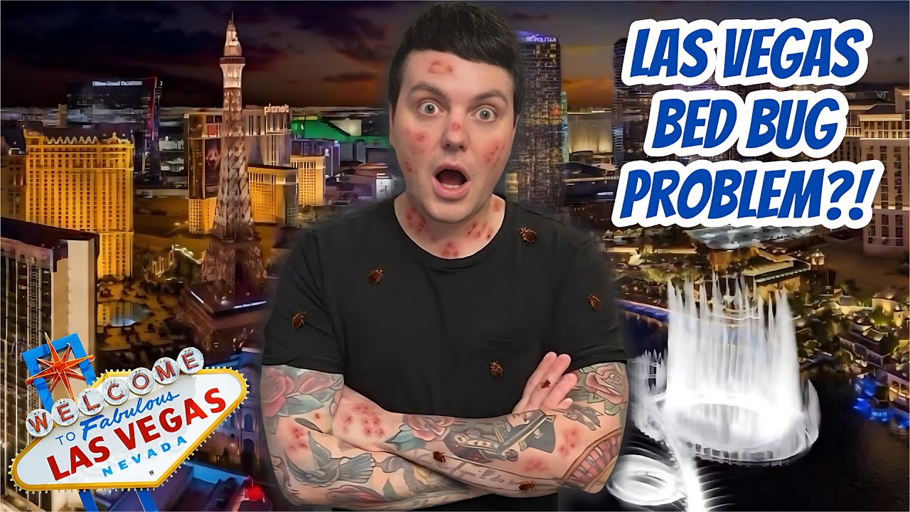 Bed Bugs in Las Vegas Hotels? I Inspected Bellagio, Aria, Mandalay Bay & The Cromwell