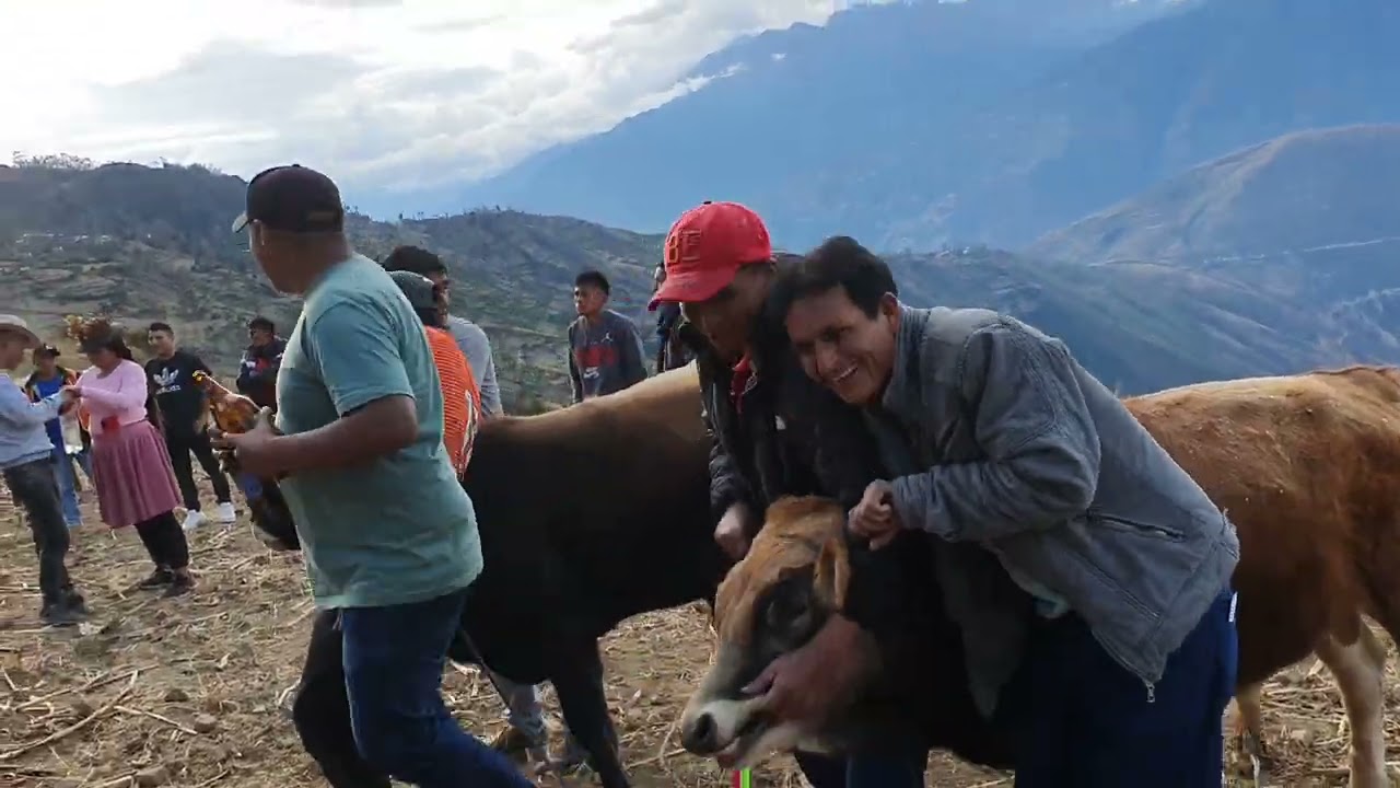 Gran santiago herranza en Urpay Salcahuasi 🐂 familia Huaringa Lindo🤩