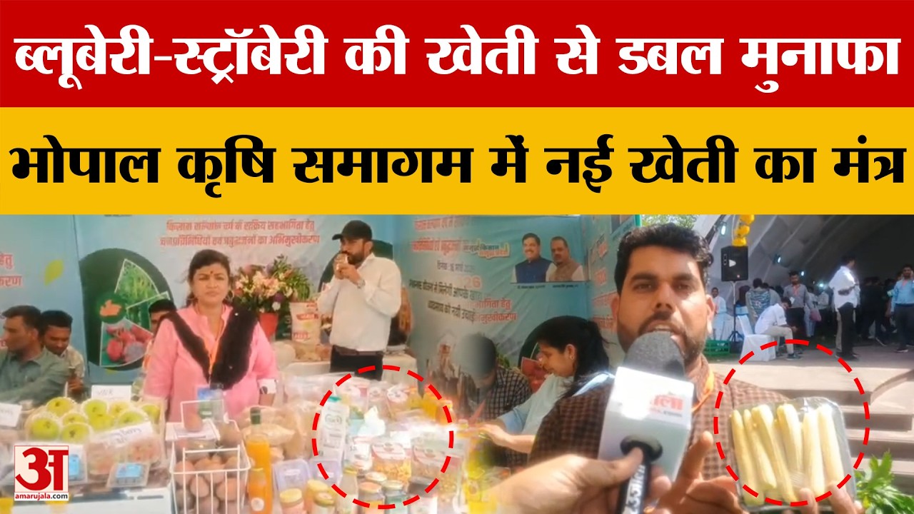 Bhopal: कृषि वर्ष को लेकर आयोजित हुआ कार्यक्रम, CM मोहन सहित कई नेता और कृषि विशेषज्ञ हुए शामिल