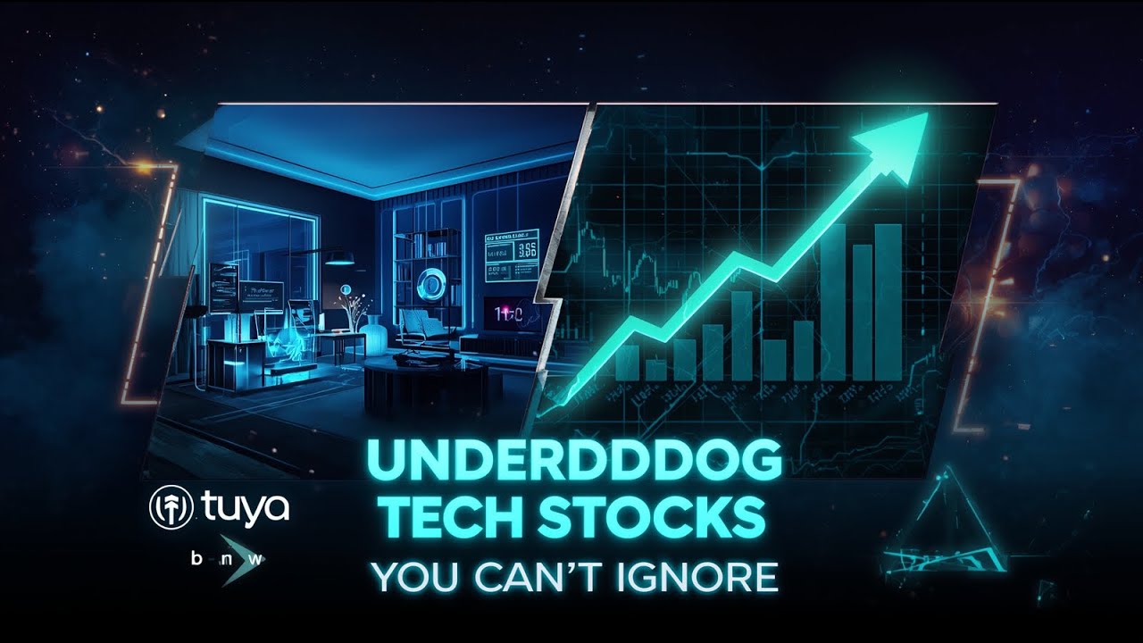 &laquo;Дешевые акции, которые могут стать лидерами рынка: Tuya и WM Technology&raquo;