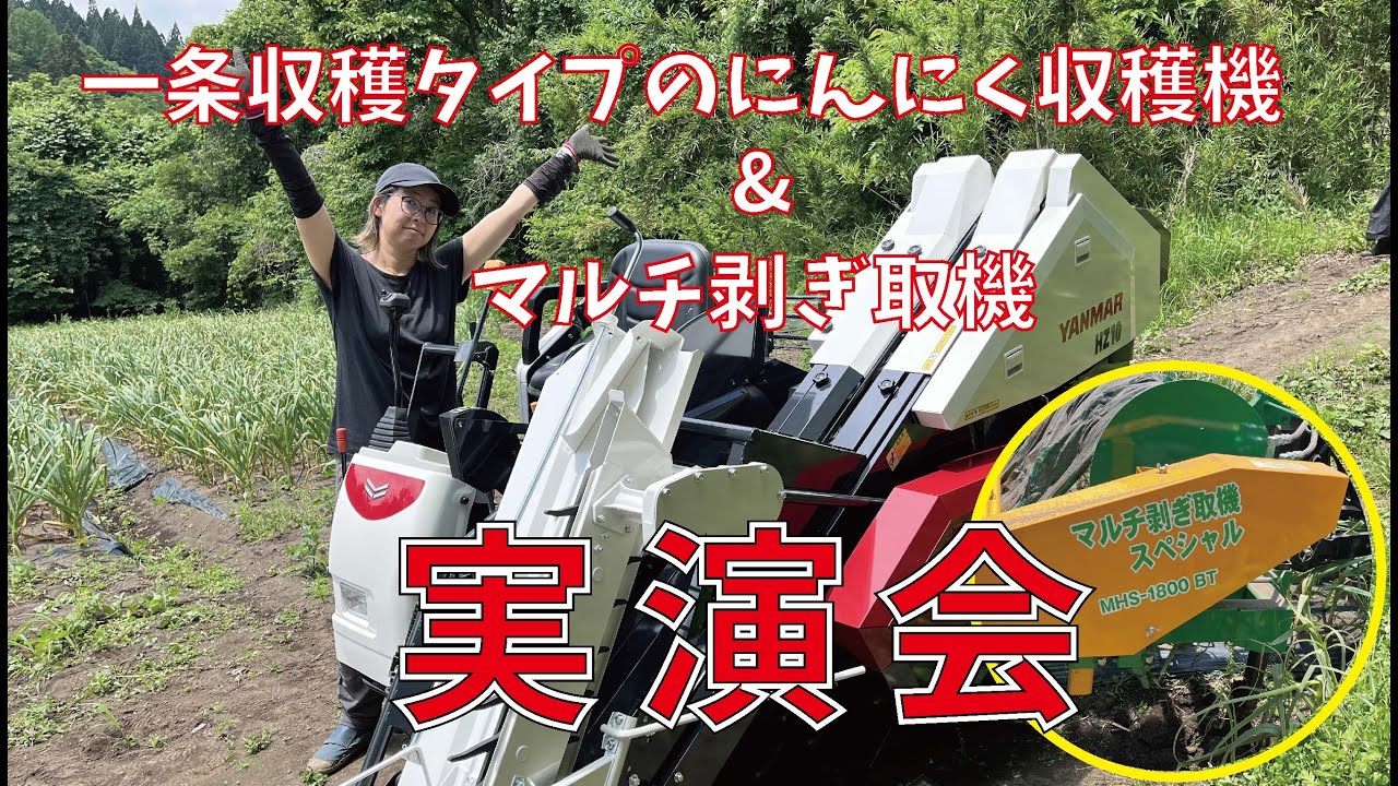 にんにく栽培【マルチ剥ぎ取機、一条堀り収穫機によるにんにく収穫実演会】（2023.6.13）～にんにくのよしだ家