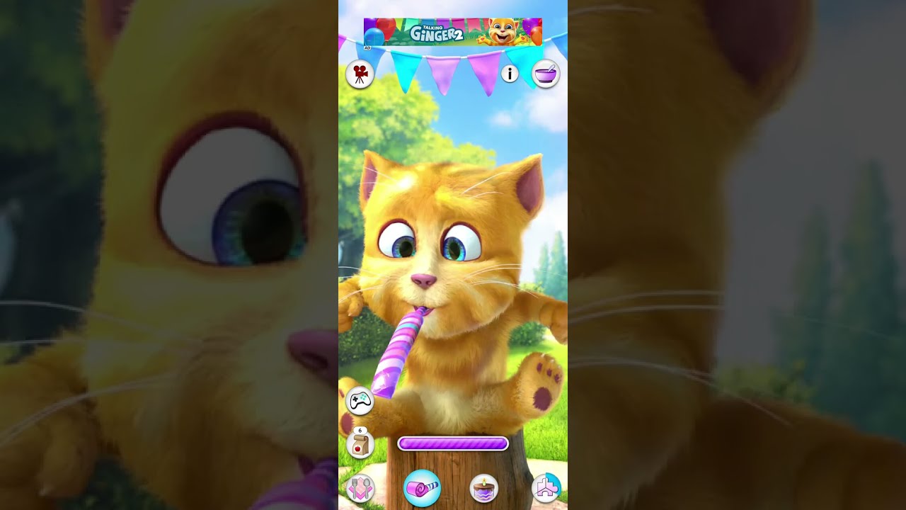 Talking Ginger Funny Videos🍉🍒🍓🍕🍟🍔 | my talking tom | my talking ginger | tom ginger 