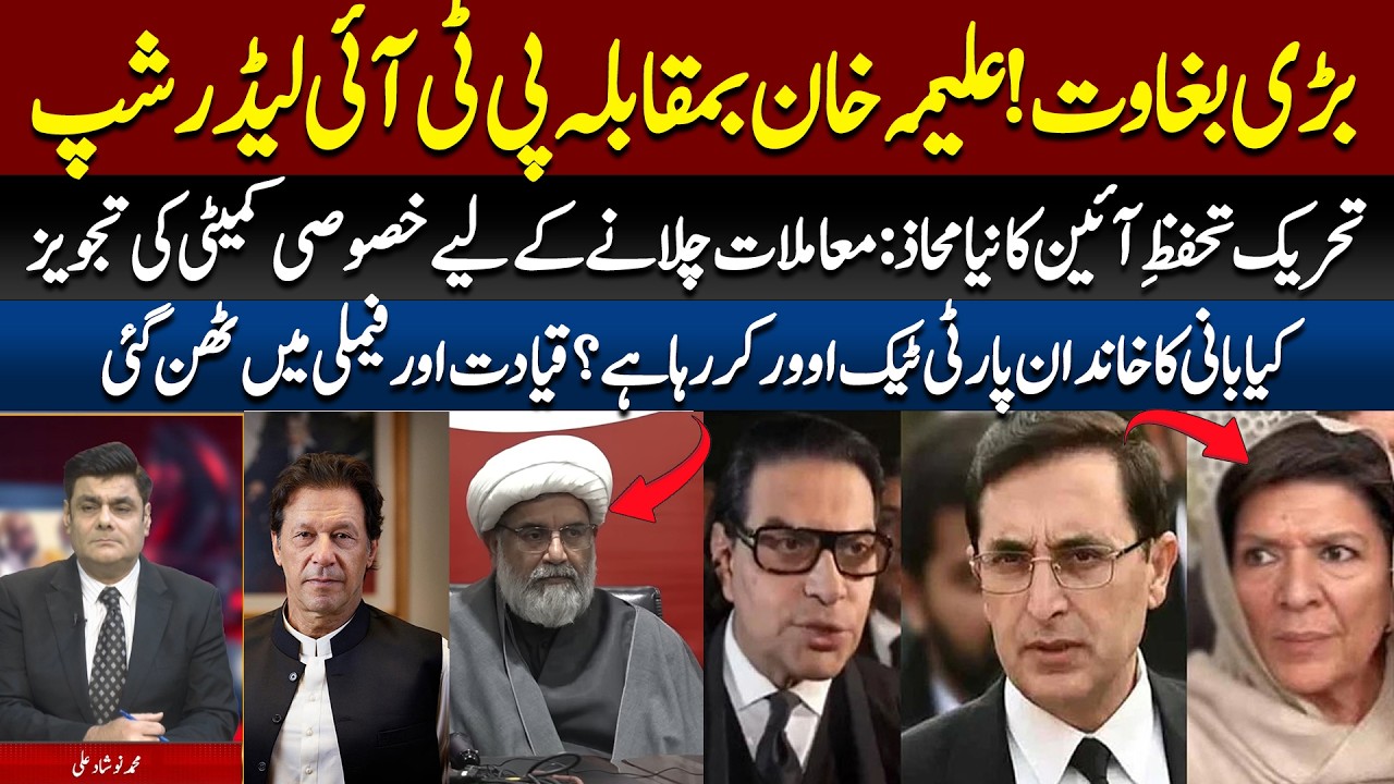 PTI Do Dharon Mein Taqseem! 📉 Aleema Khan Party Qayadat Par Baras Parein.