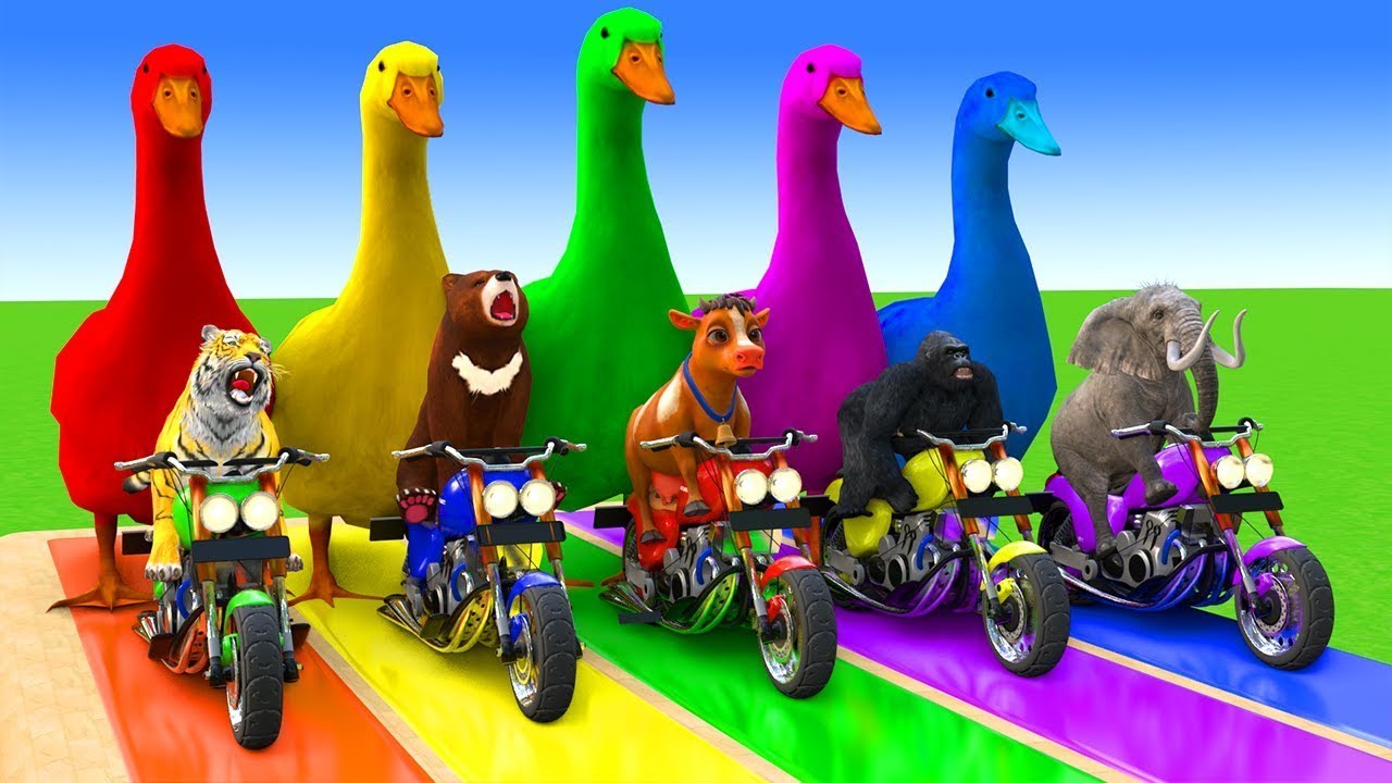 5 Giant Duck Cartoon,Cow,Elephant,Tiger,Lion,Dinosaur,Paint Wild Animals Crossing Fountain Animation