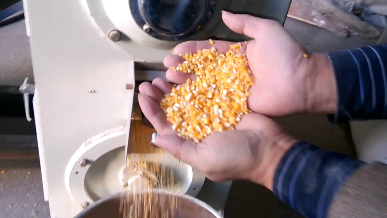 Corn maize dehuller, peeling machine
