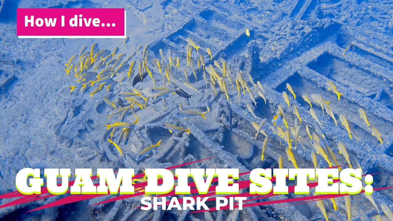 How I dive... Guam Dive Sites: Shark Pit 