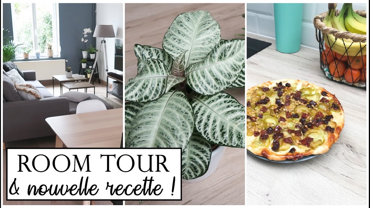 VLOG : ROOM TOUR DE NOTRE SALON, UNE RECETTE ET DES PLANTES !