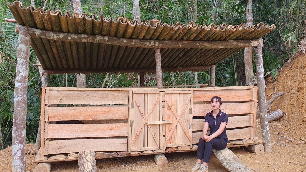 Building a Wooden House & Finishing a Wooden Pigsty | Living a Solitary Life in Nature