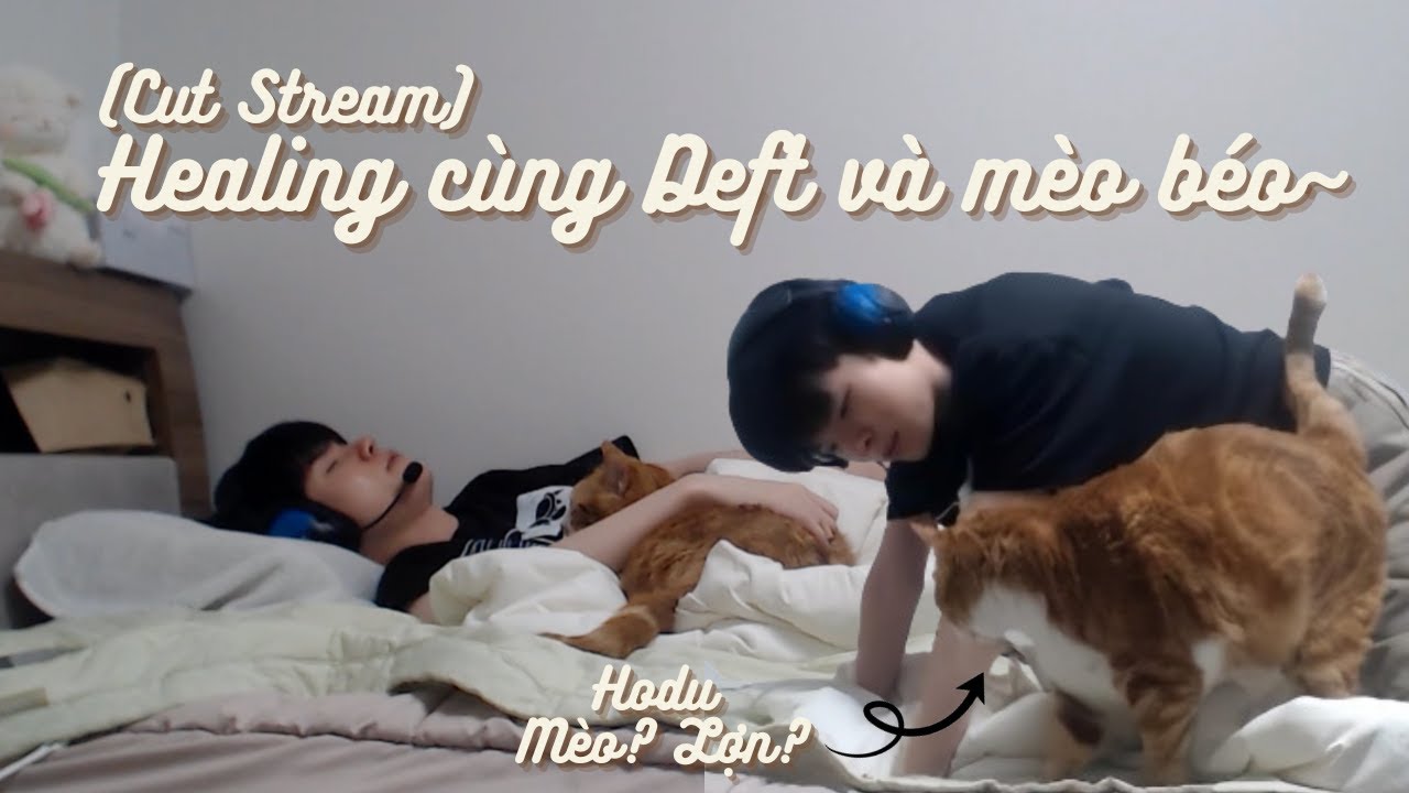 (Vietsub) Stream đi ngủ cùng Deft và mèo béo~