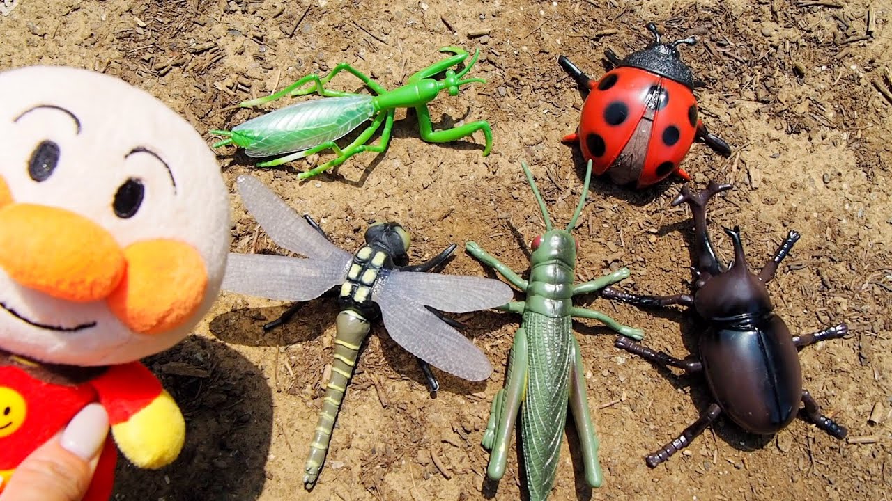公園にいろいろな虫が隠れているよ！虫さんのかくれんぼ  アンパンマン と昆虫採集　カブトムシ トンボ てんとう虫　バッタ　かまきり　Bug Hunting!    Pretend Play!!