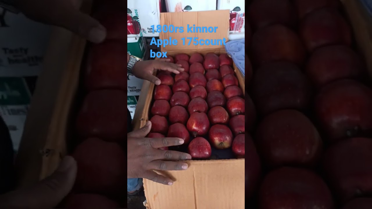 Today kinnor apple rate hyderabad fruit market 01-11-2022.