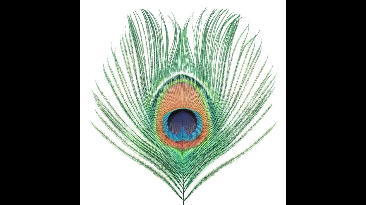 XTC - Apple Venus (Volume One) (1999) [Full Album]