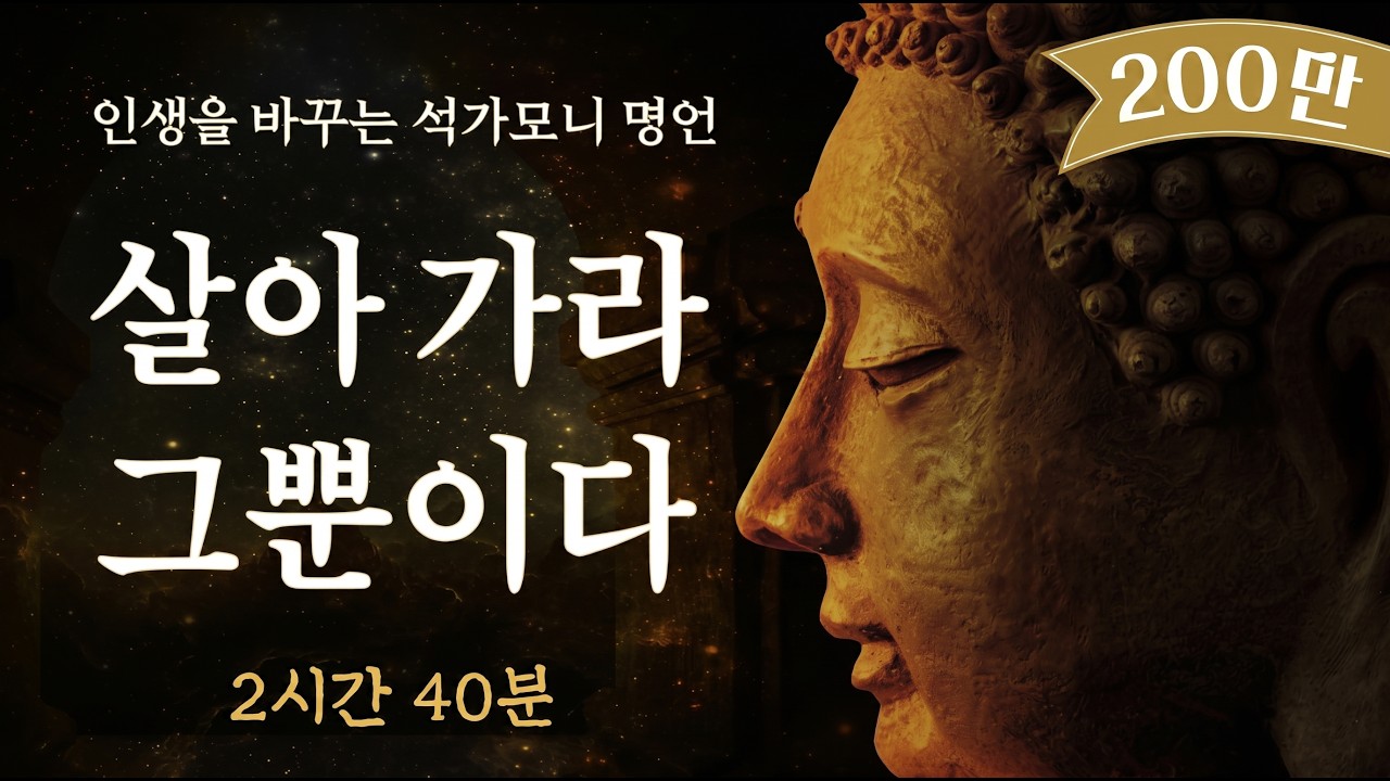 잠 잘때 들으면 인생이 바뀌는 석가모니 명언 모음집 2시간 40분 | 부처님 진리의 말씀  불교명언