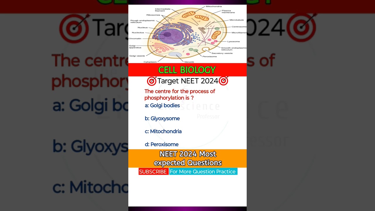 Best questions for neet | Cell biology pyqs | neet questions | 