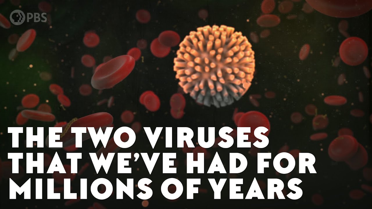 The Two Viruses That We’ve Had For Millions of Years