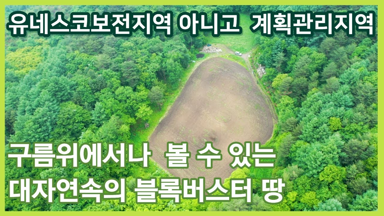 국립공원 같은데 전체 개발 가능한 계획관리지역 | 아무리 걸어도 끝이 안보이는 토지 | 평창 봉평 휘닉스파크 토지 매매