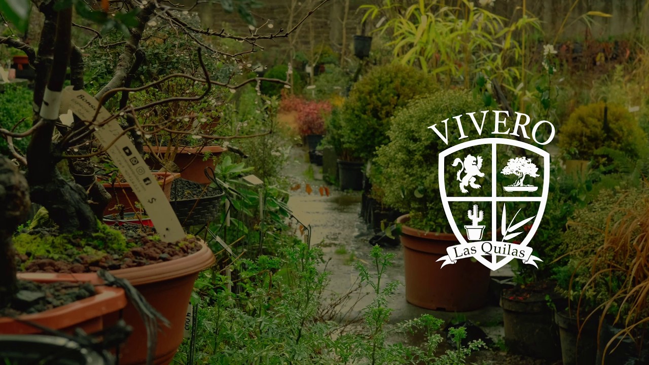 Informercial Vivero Las Quilas