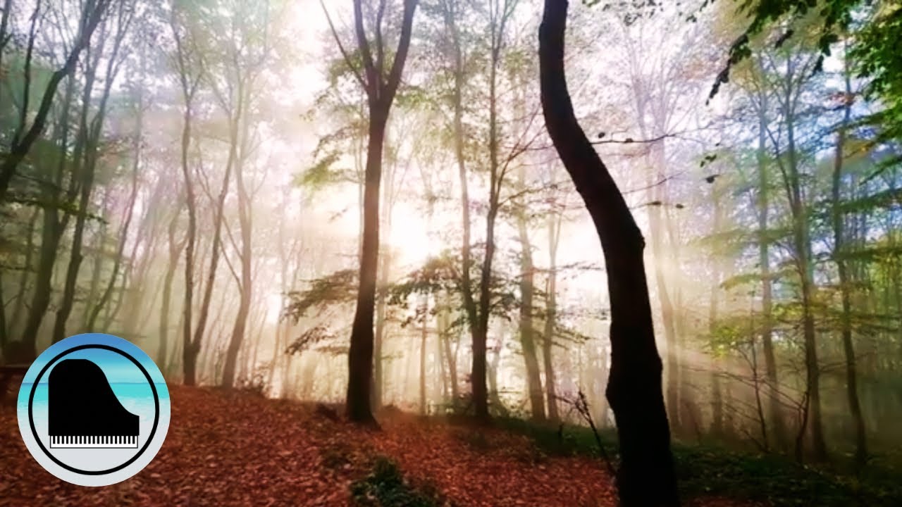 Relaxing Piano Music | Fall Leaves (3 Original Piano Pieces)