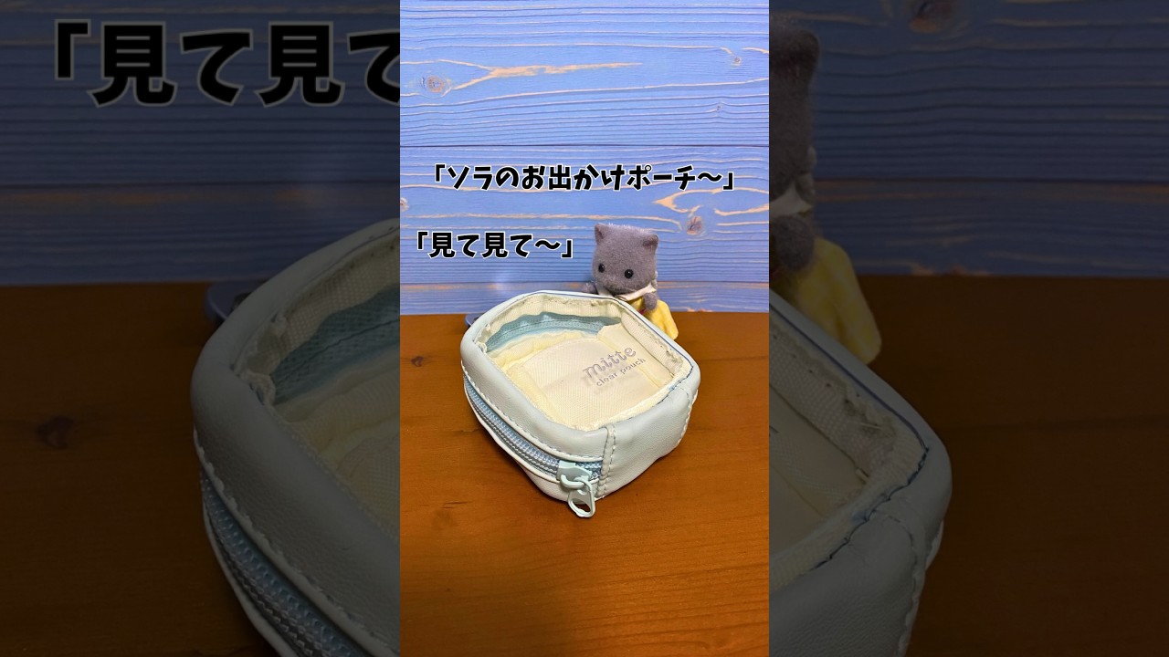 【マイバニアのお出かけ事情】#シル活 #ペルシャネコのソラ #shorts