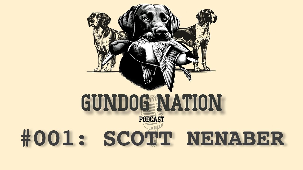 Gundog Nation #001: Scott Nenaber, Upland dogs