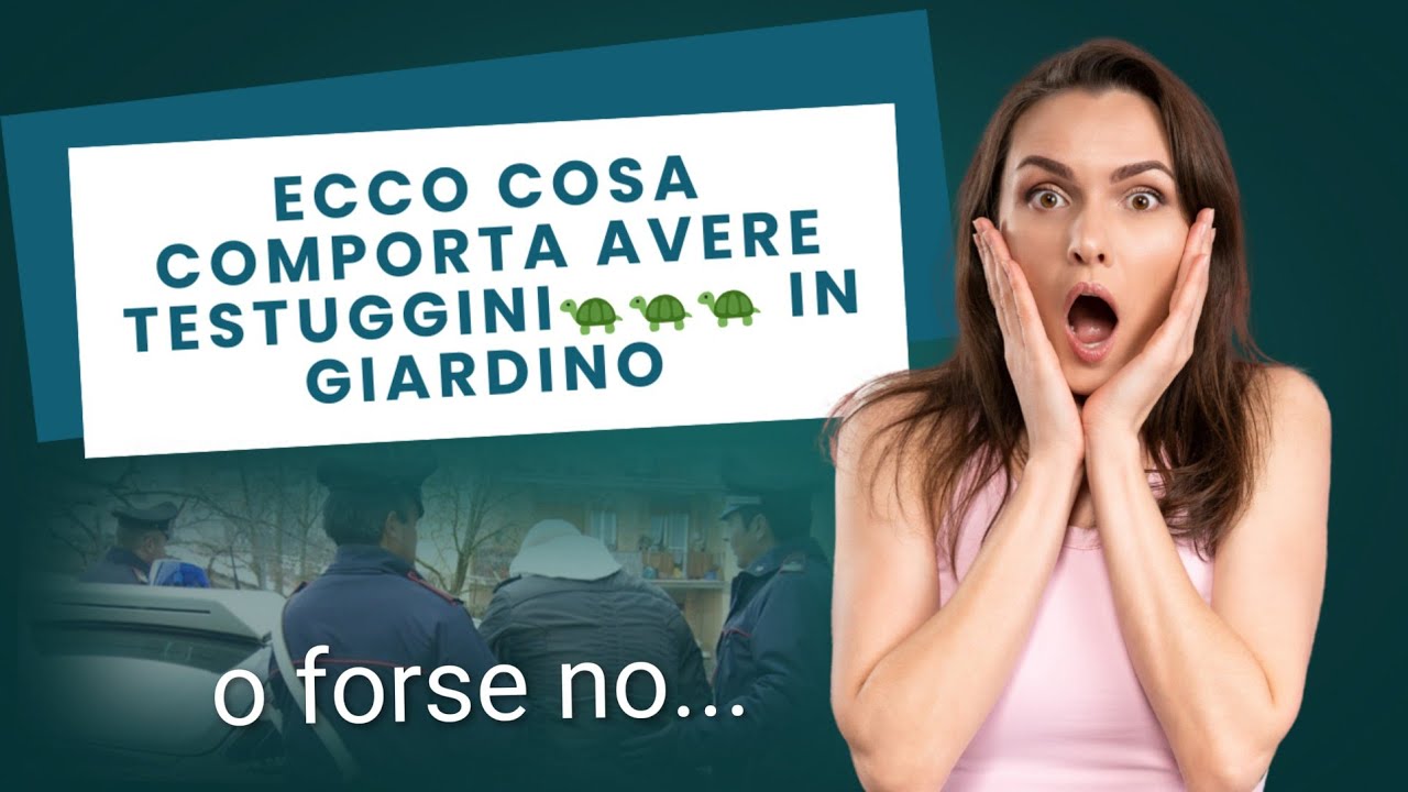 Come DENUNCIARE / REGOLARIZZARE una TARTARUGA di terra! Tutto sulla Documentazione CITES 📝📝