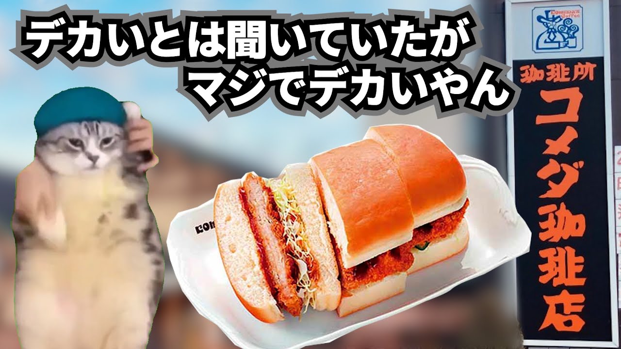 コメダ珈琲でデカいと噂のカツパンを食べた何気ない話【猫ミーム】