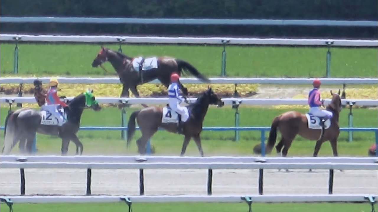 【放馬】下見所から騎手なしで柵を壊して本馬場入場 みんなと合流したいけど出来ない⑦ジャスパーワールドとレースも2頭がジョッキーが下馬と波乱 現地映像