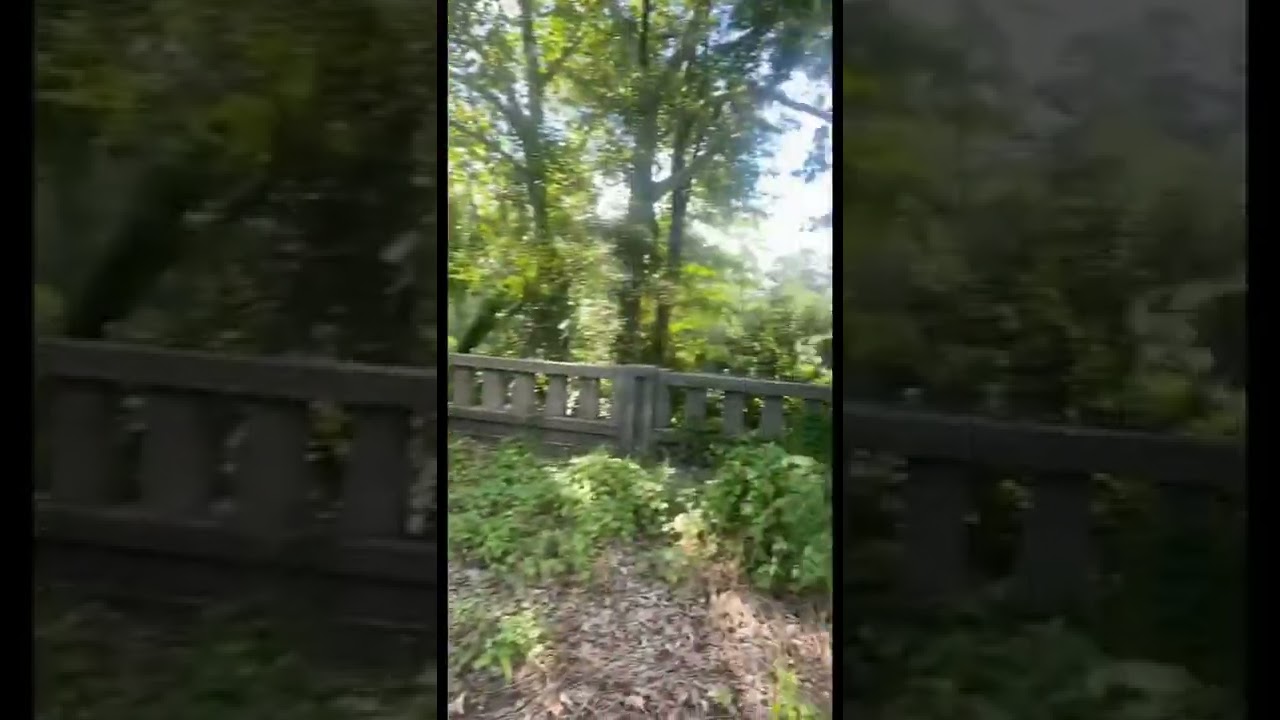 Abandoned Death Bridge Augusta Ga #abandoned #bridge #haunted #subscribe