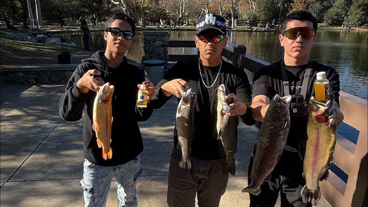 Trout Fishing Irvine Regional Park 
