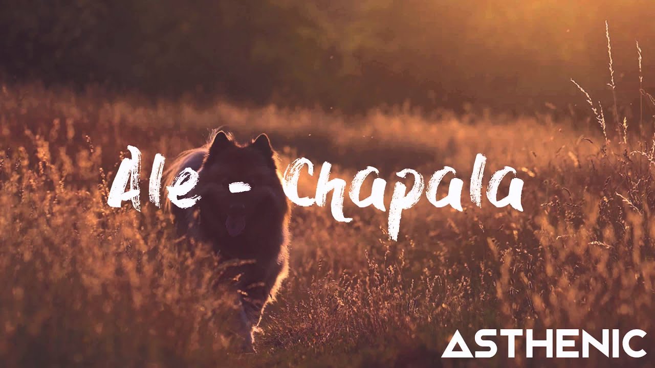 Ale - Chapala [Asthenic Ambient]