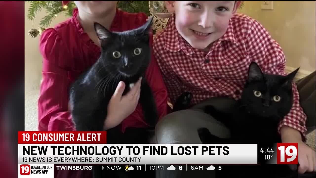 New AI technology helps reunite lost pets with owners faster