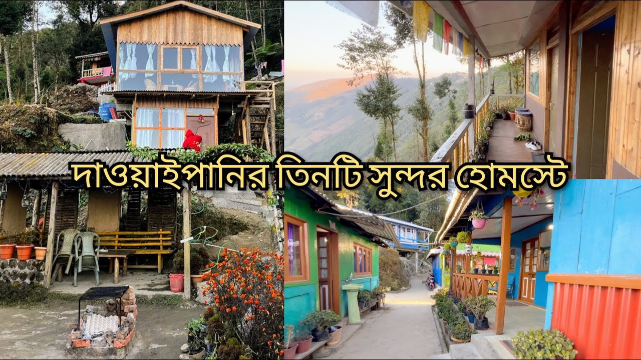 3 Homestays in Dawaipaani, Offbeat Darjeeling 🏔️ Rovers Eco Stay, Adda-Hut, Biren Rai Homestay 🏕️