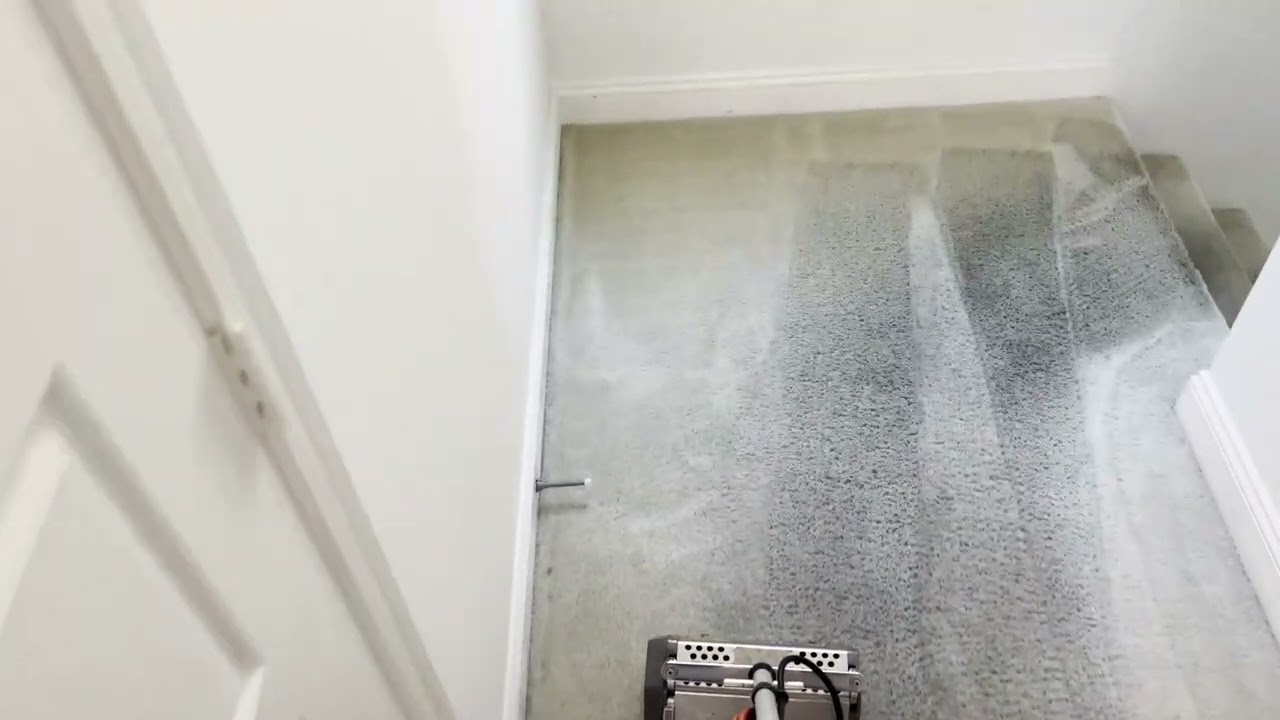 🌟 Nick Carpet Cleaning Save $4000 , Transforming the Dirtiest Carpet EVER! 🌟